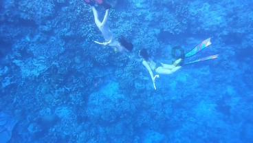 守护飞行城堡